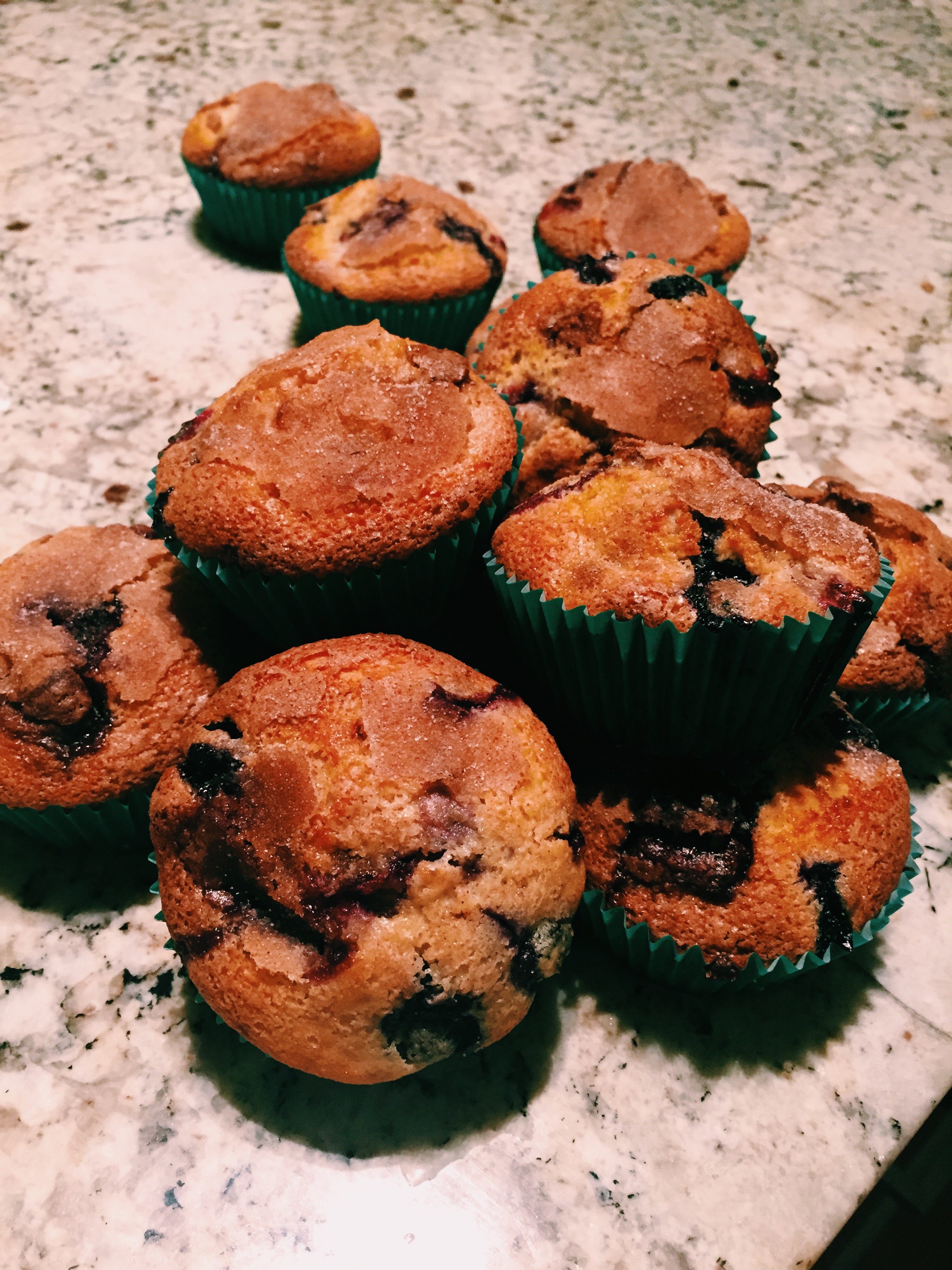 Chocolate and Blueberry Muffins