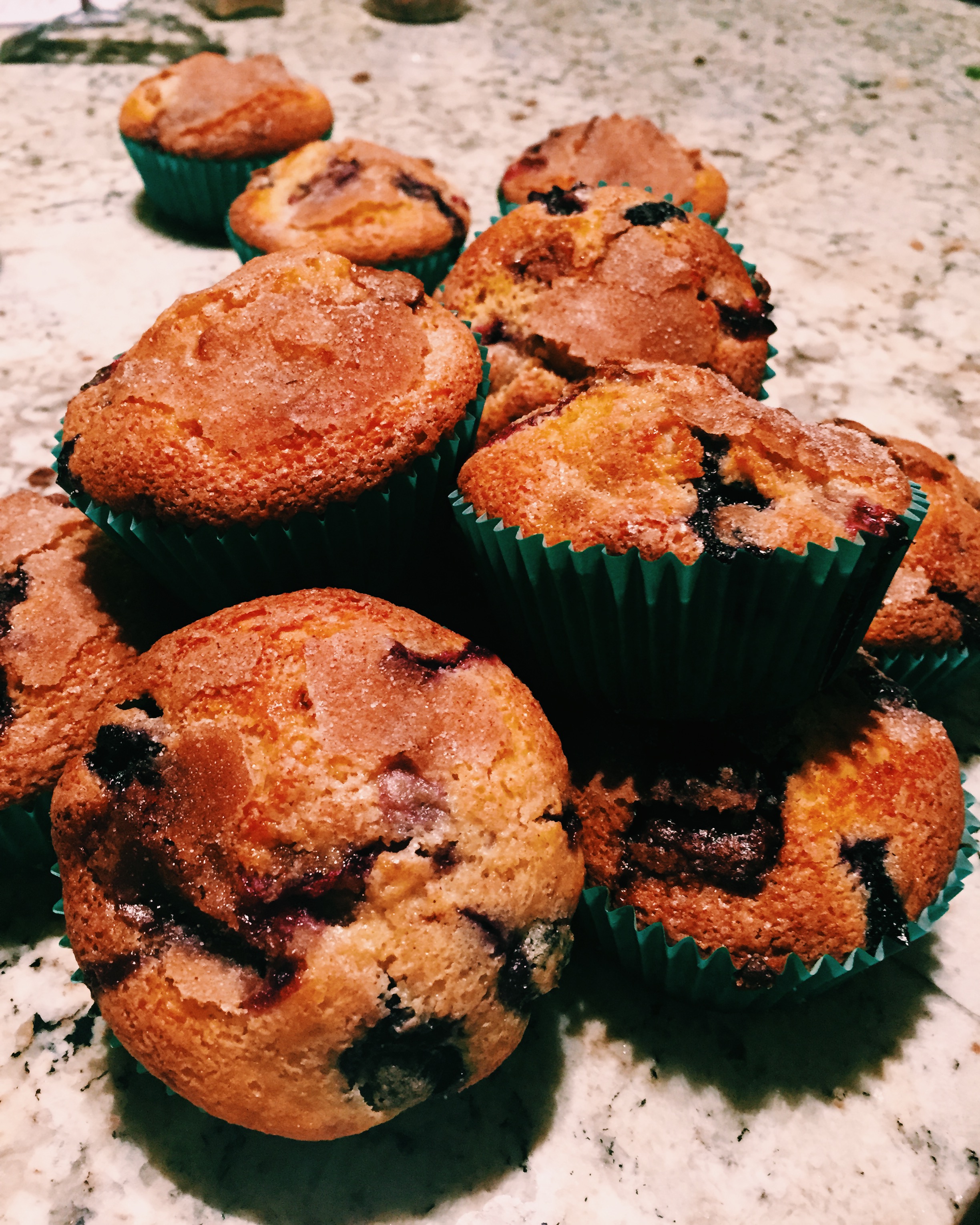 Chocolate and Blueberry Muffins