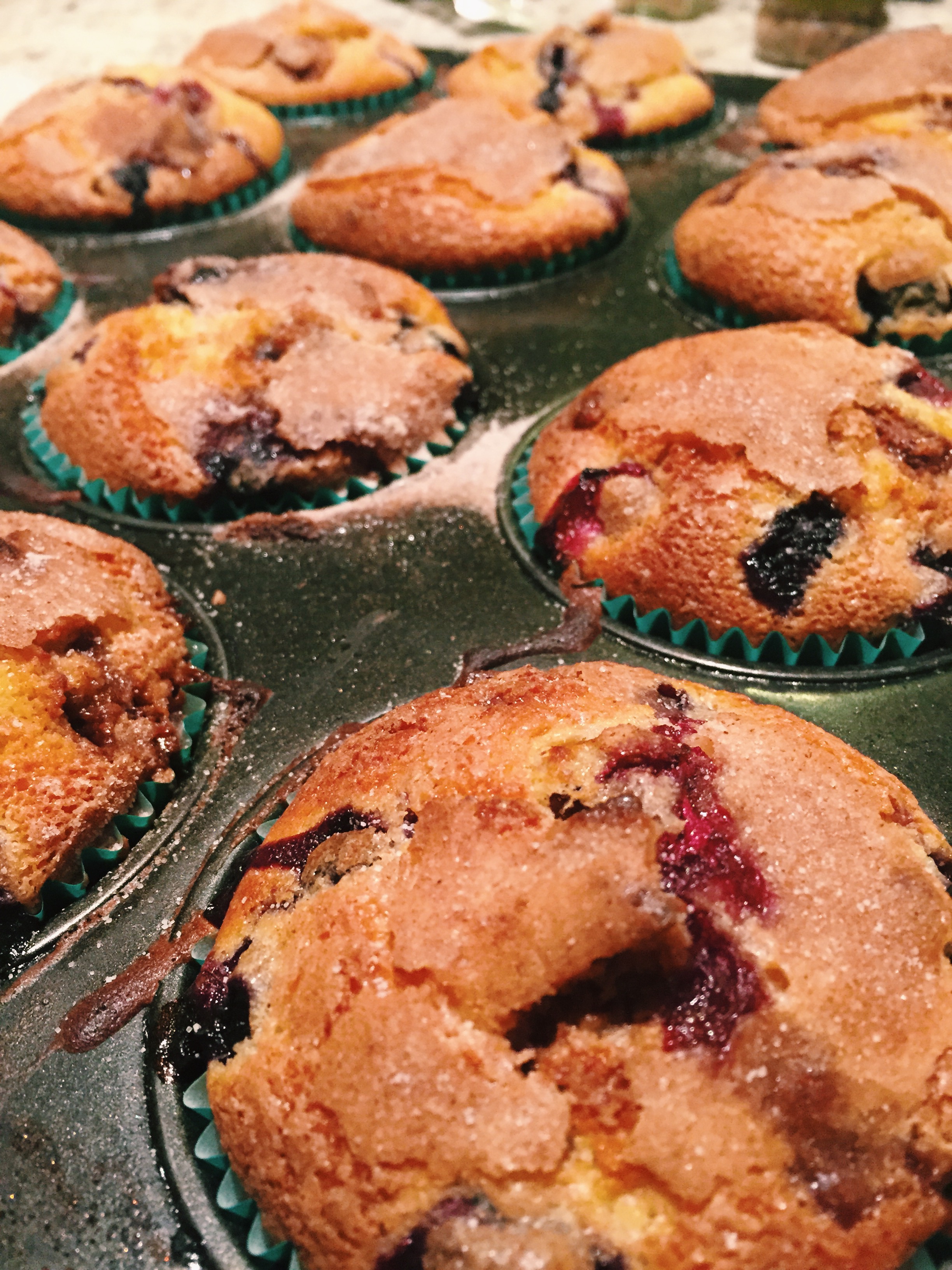 Chocolate and Blueberry Muffins