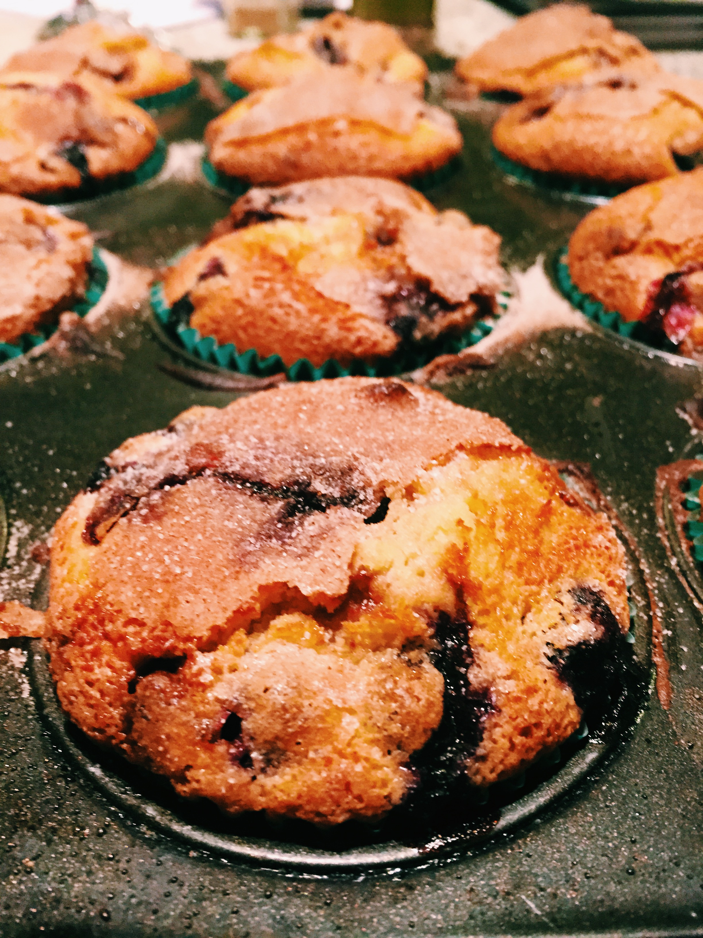 Chocolate and Blueberry Muffins