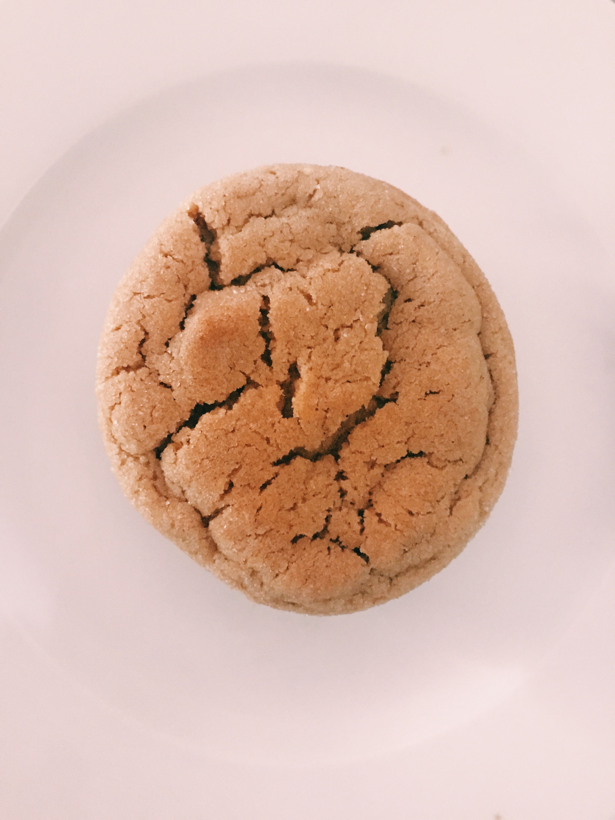 Gingerbread Snickerdoodles