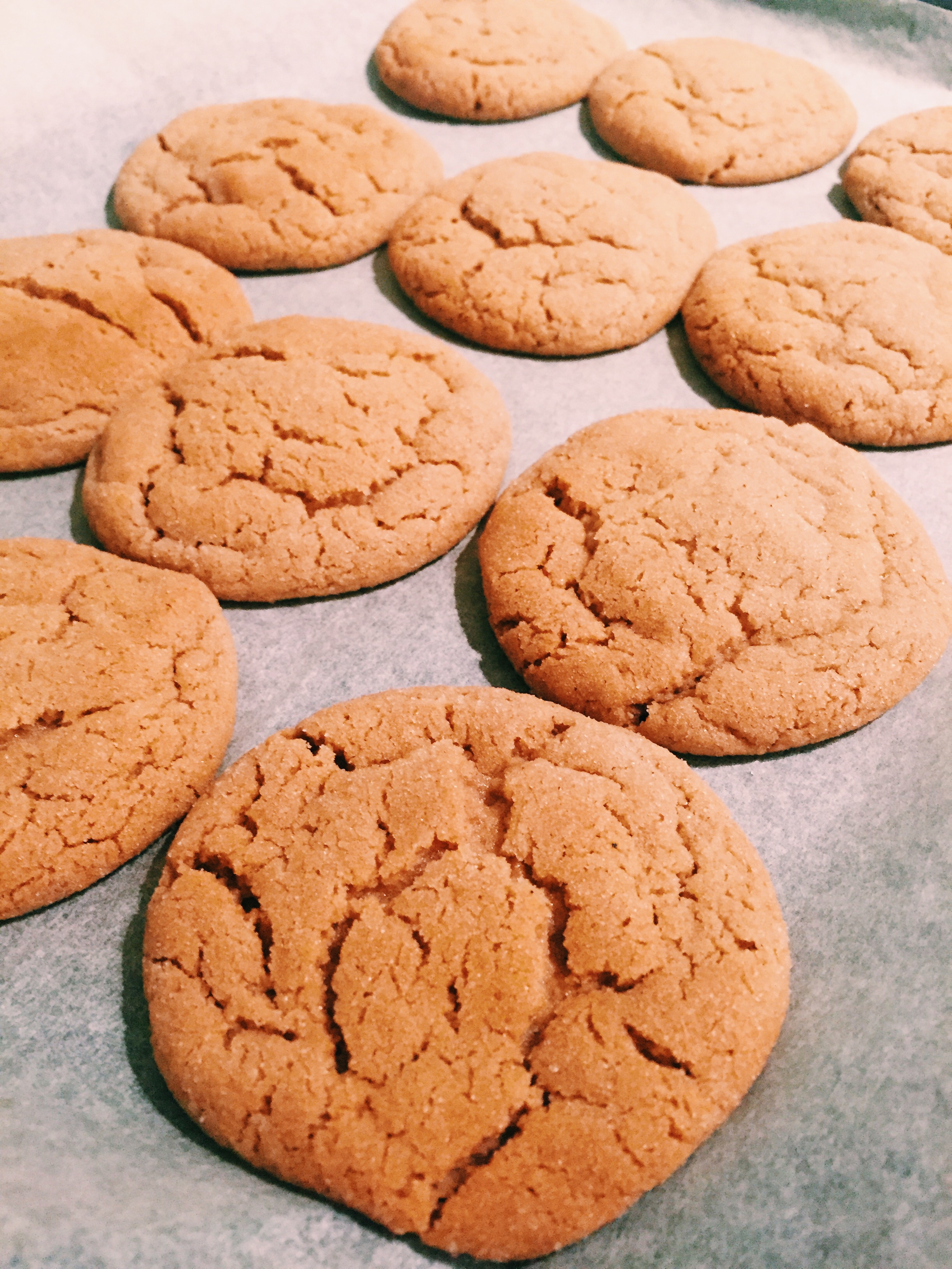 Gingerbread Snickerdoodles