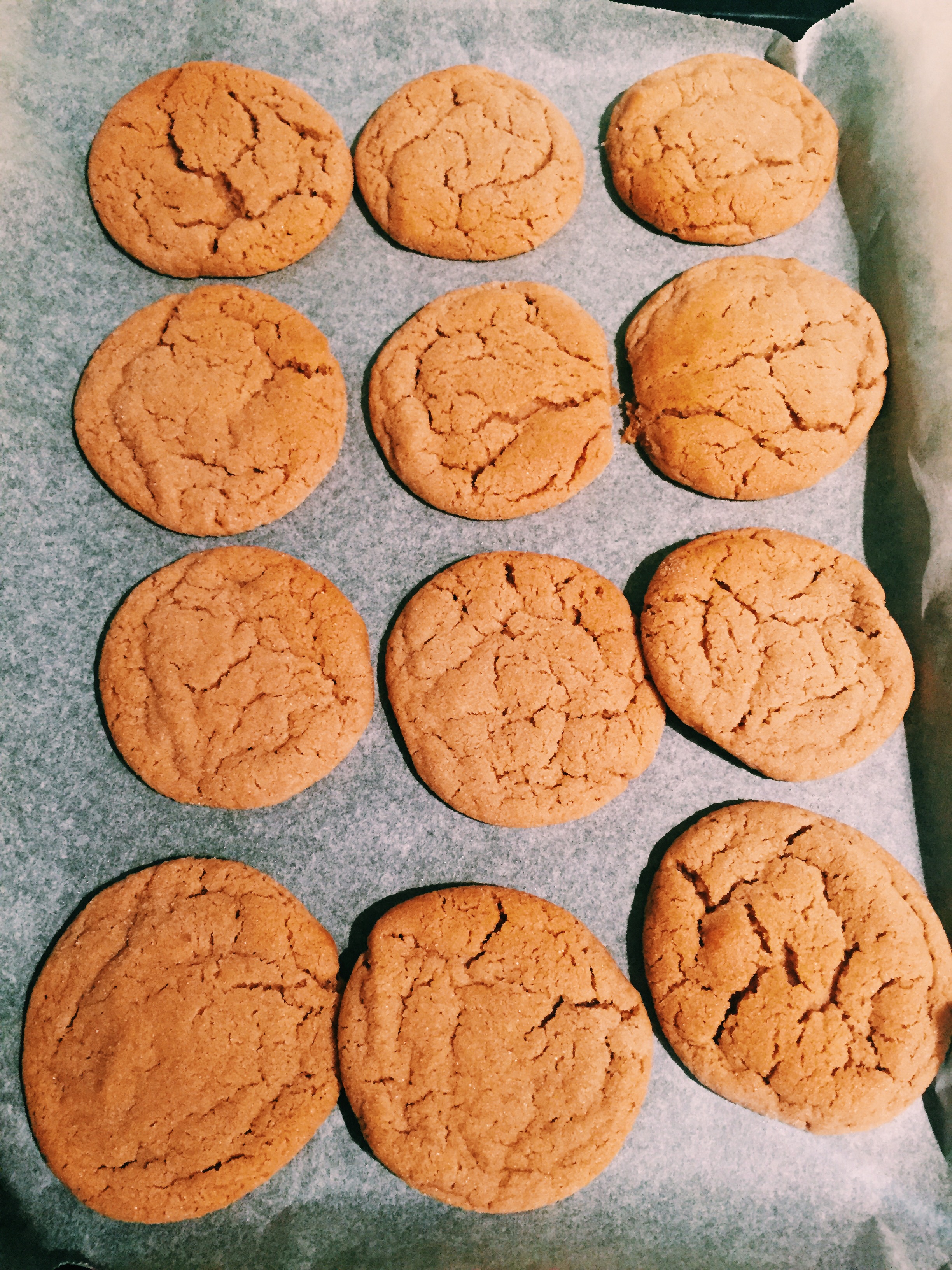 Gingerbread Snickerdoodles