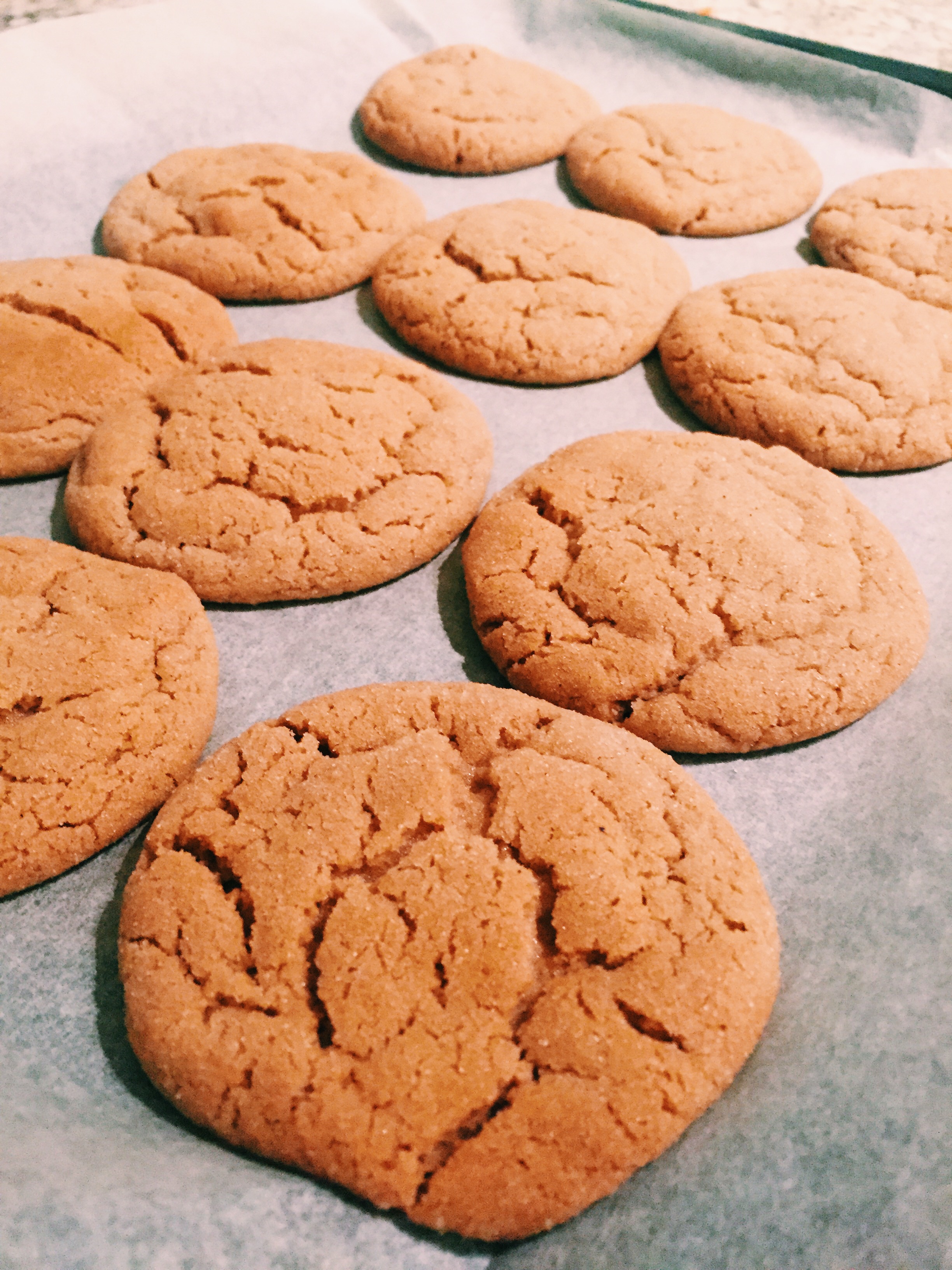 Gingerbread Snickerdoodles