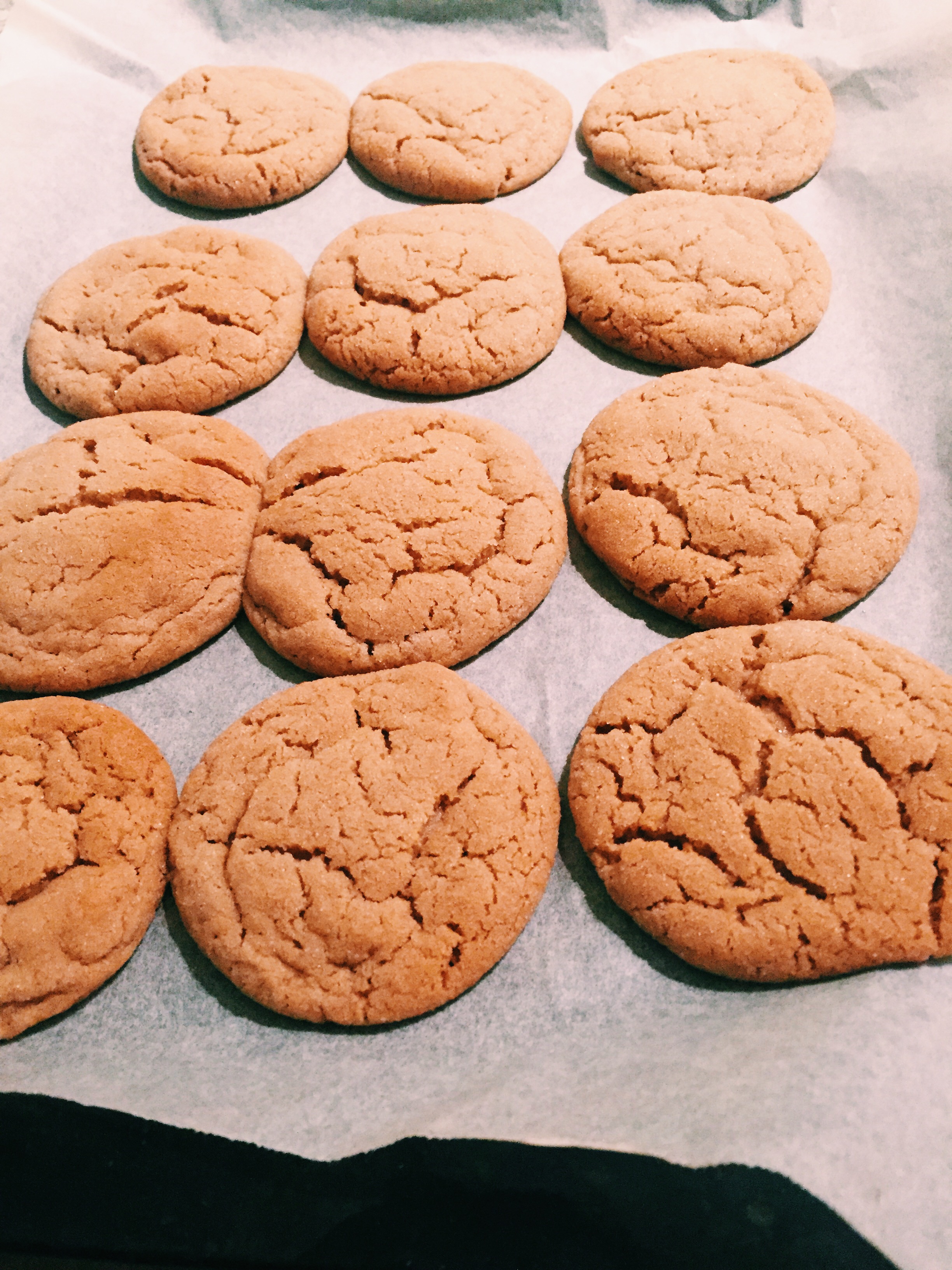 Gingerbread Snickerdoodles