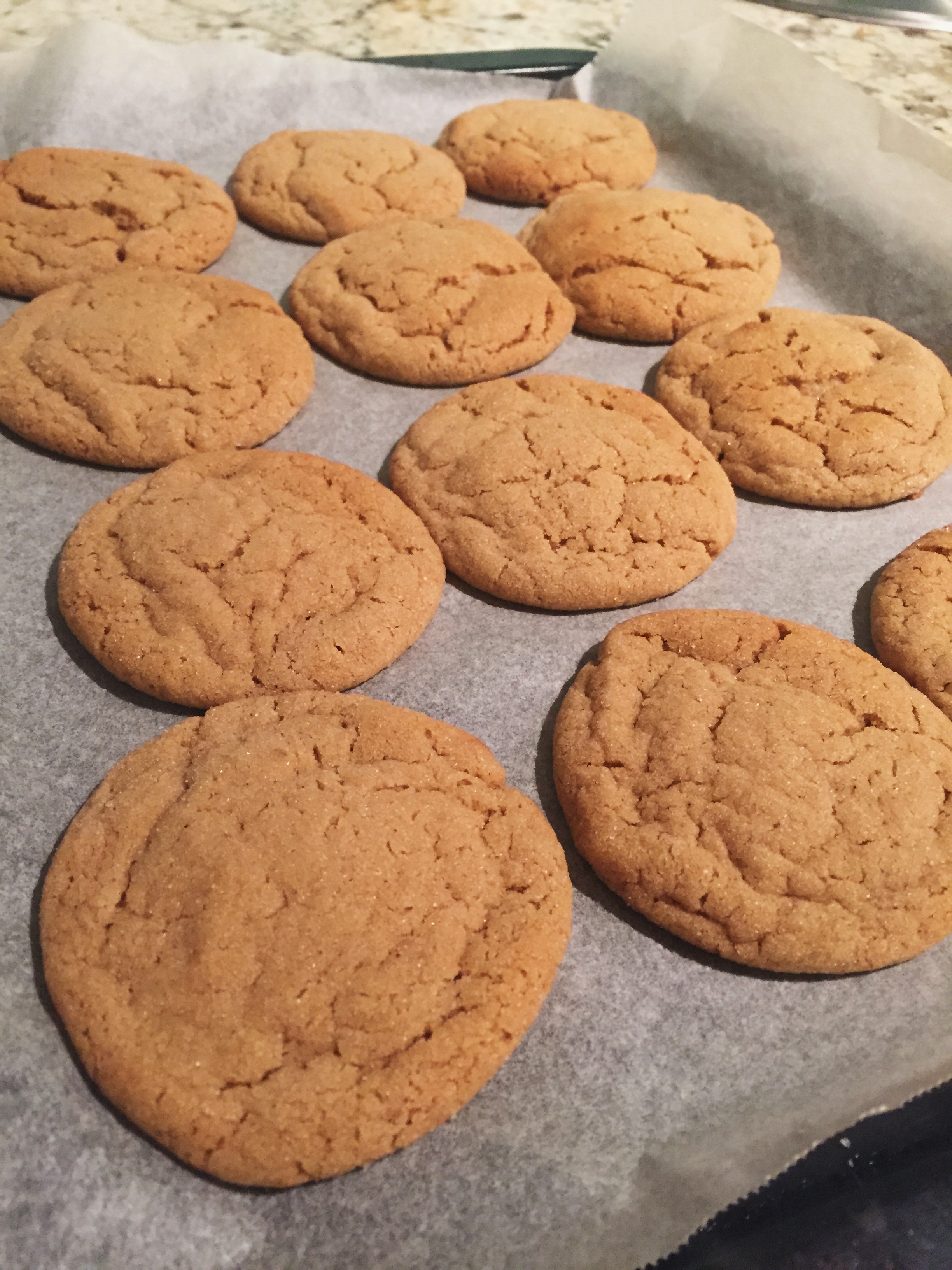 Gingerbread Snickerdoodles