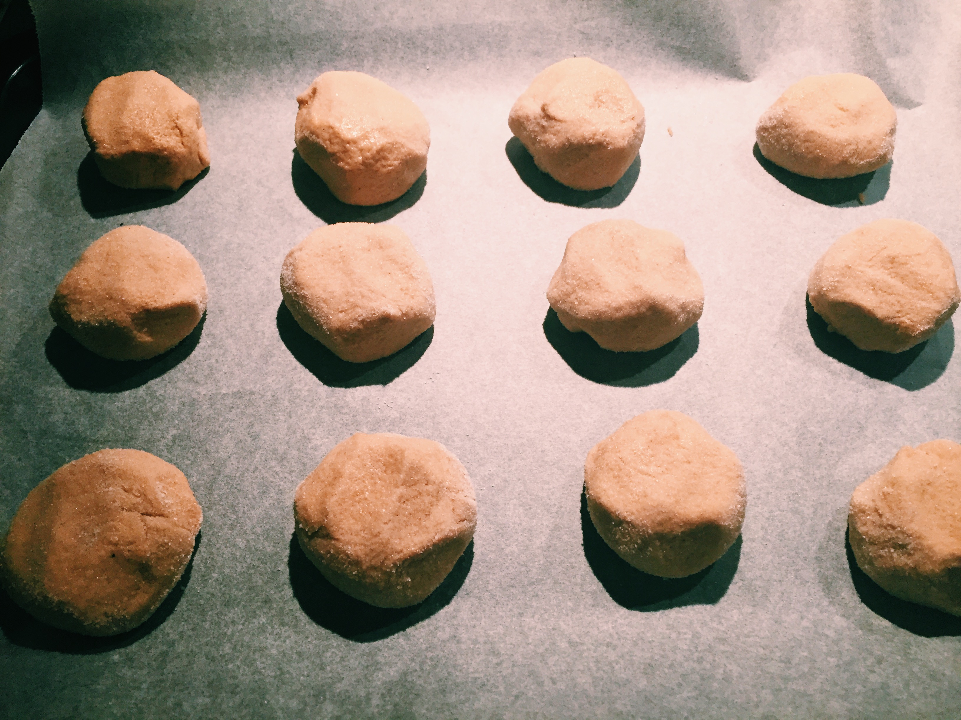 Gingerbread Snickerdoodles