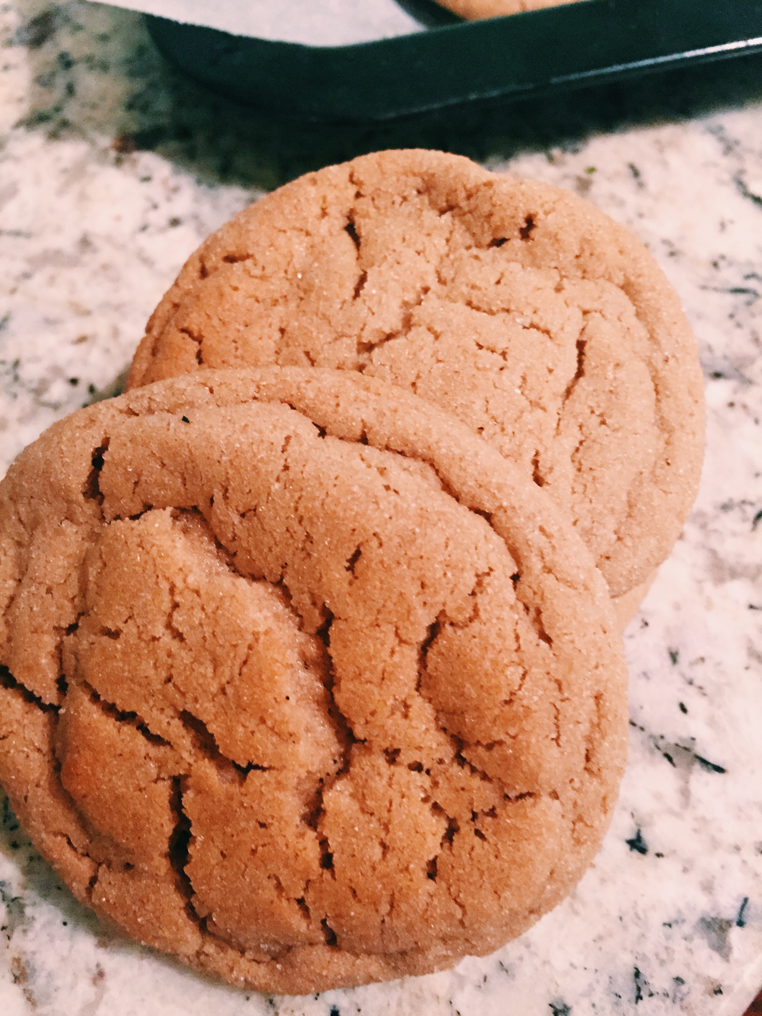 Gingerbread Snickerdoodles