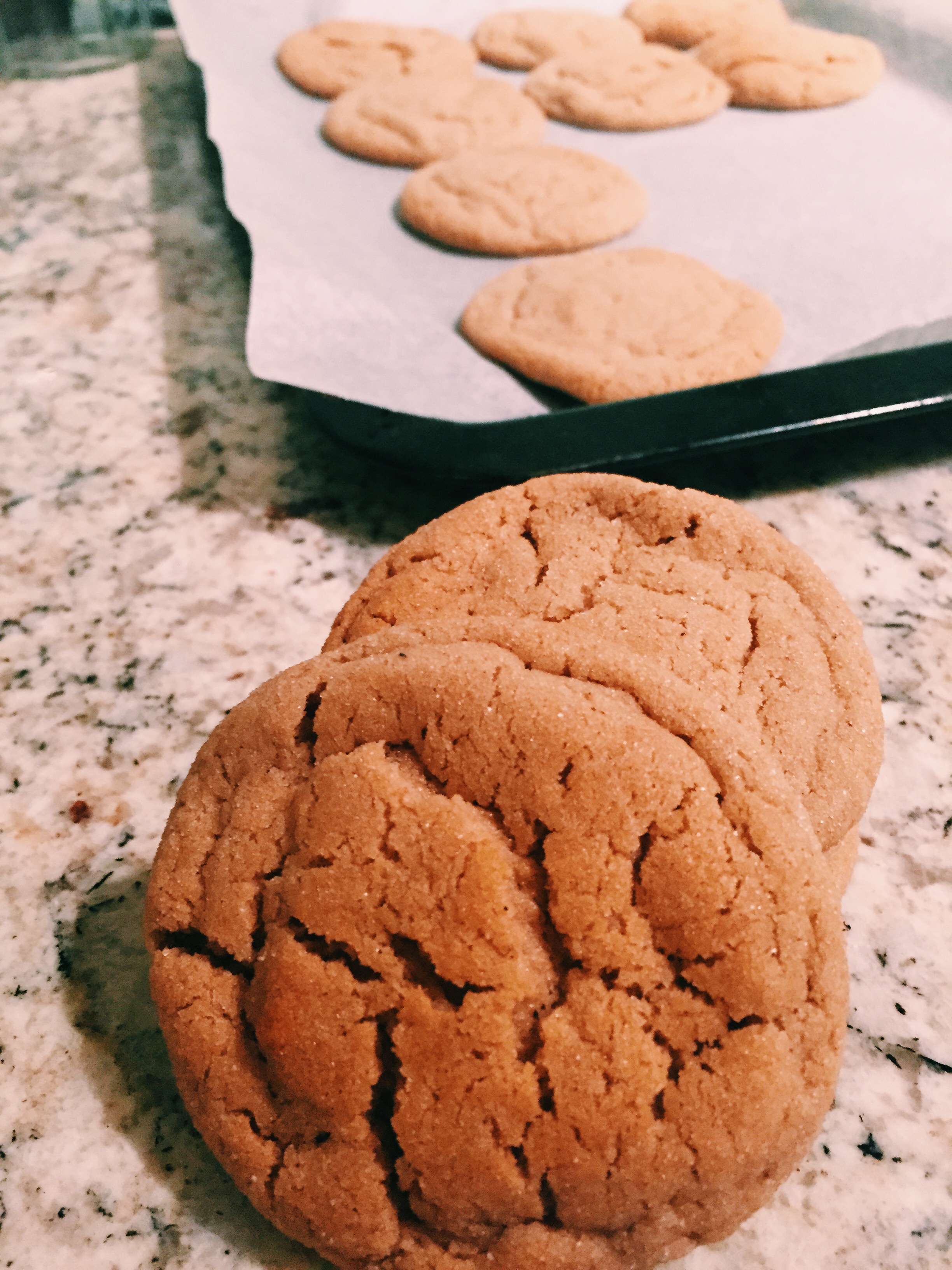 Gingerbread Snickerdoodles