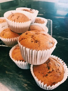 Gingerbread Chocolate Chip Muffins