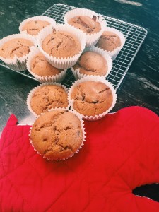 Gingerbread Chocolate Chip Muffins