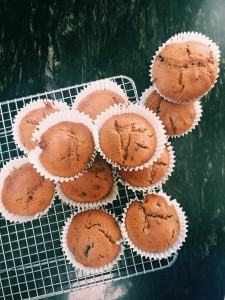 Gingerbread Chocolate Chip Muffins