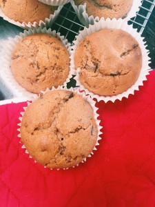 Gingerbread Chocolate Chip Muffins