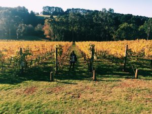 Ella Explores Mornington Peninsula