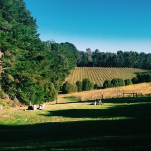 Ella Explores Mornington Peninsula