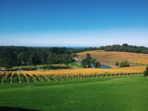 Ella Explores Mornington Peninsula