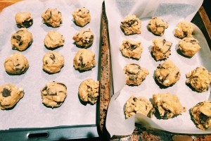 DoubleTree Chocolate Chip Cookies