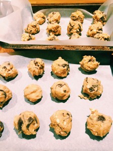 DoubleTree Chocolate Chip Cookies